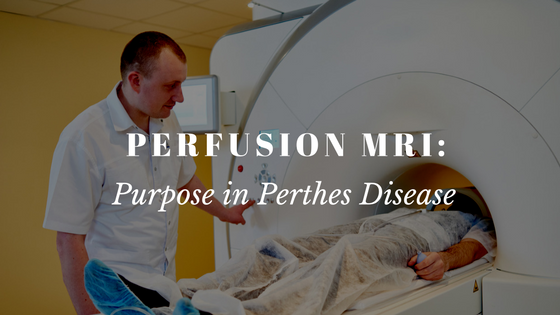 Perfusion MRIs: Recent research showing the purpose with Perthes Disease